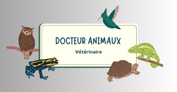 Cópia de Cópia de Pet Care_20250506_024714_0000