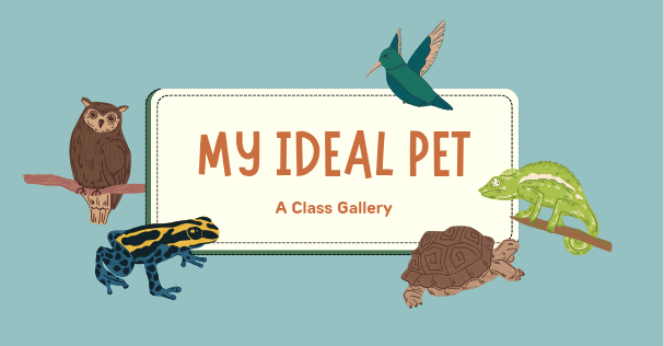 Cópia de Cópia de Pet Care_20250506_024832_0000