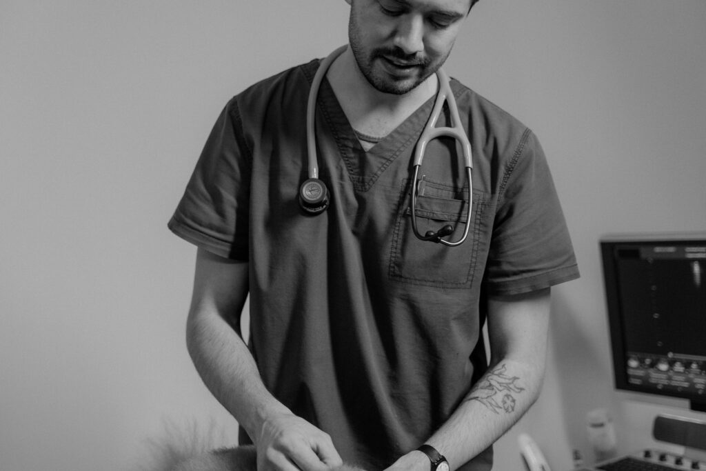 Veterinarian in scrub suit with stethoscope conducting a pet checkup in a clinic.